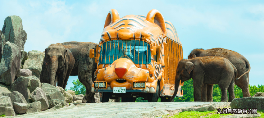 九州自然動物公園